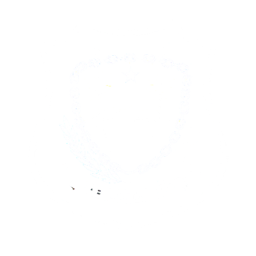 ISMAIL T. AKASE, SKM., M.Kes