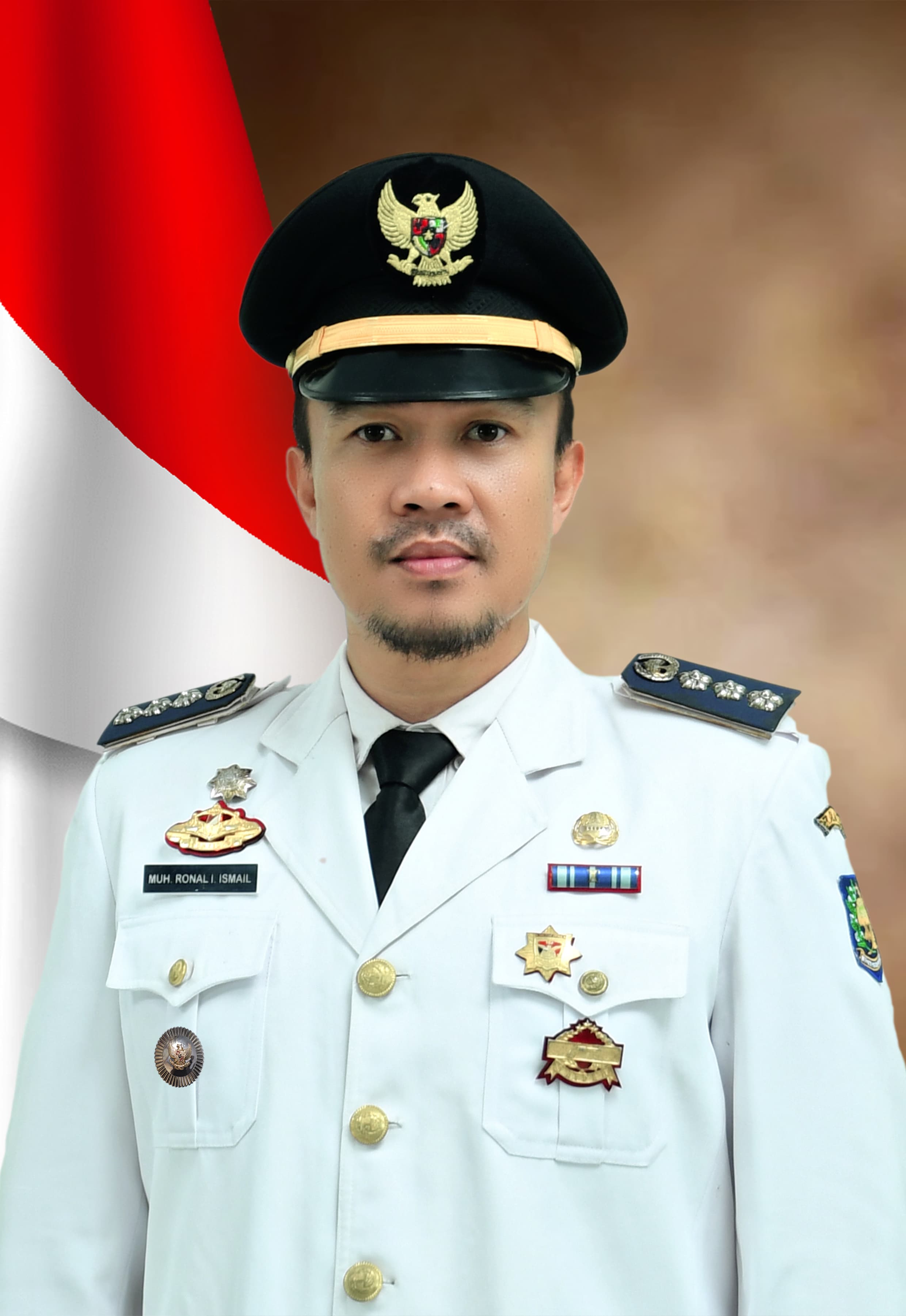 MOH. RONAL ISTANTO ISMAIL, S.STP, M.AP