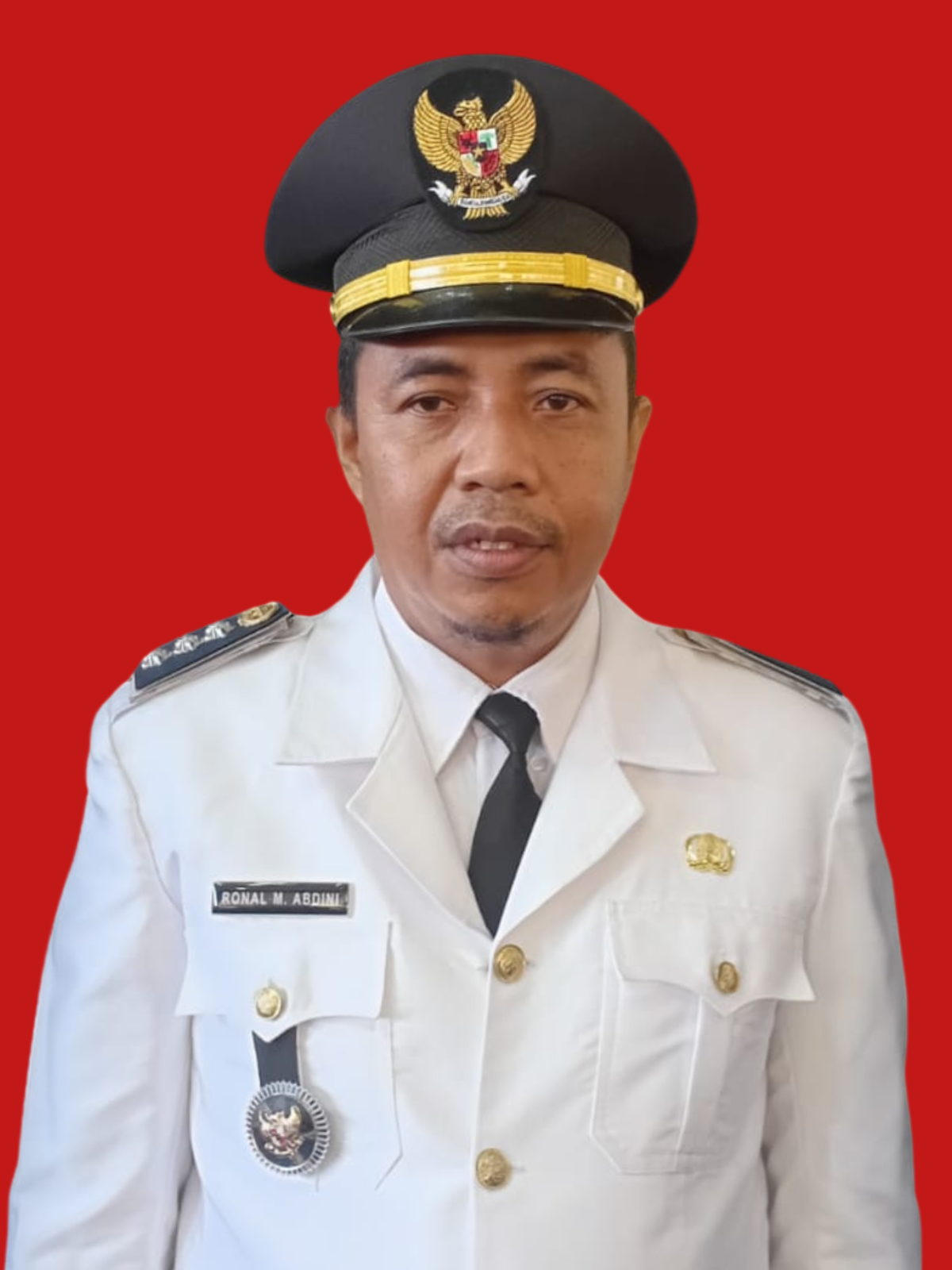 RONAL MERTIARTO ABDINI, S.Pd